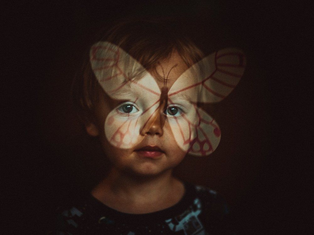 Эффект Бабочки