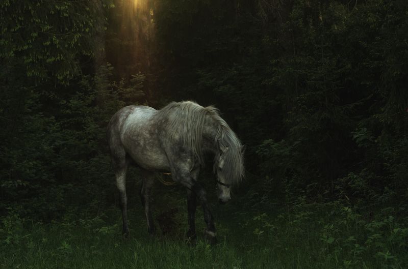 Skutin Andrey, Russia