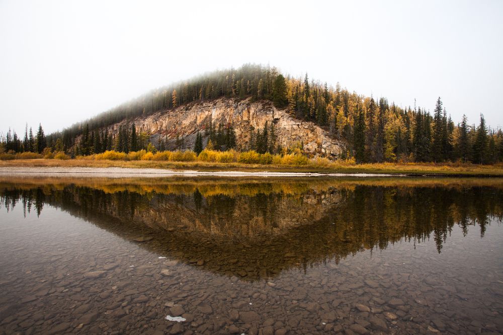 Паралельный мир