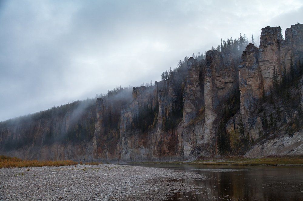 Туманные берега