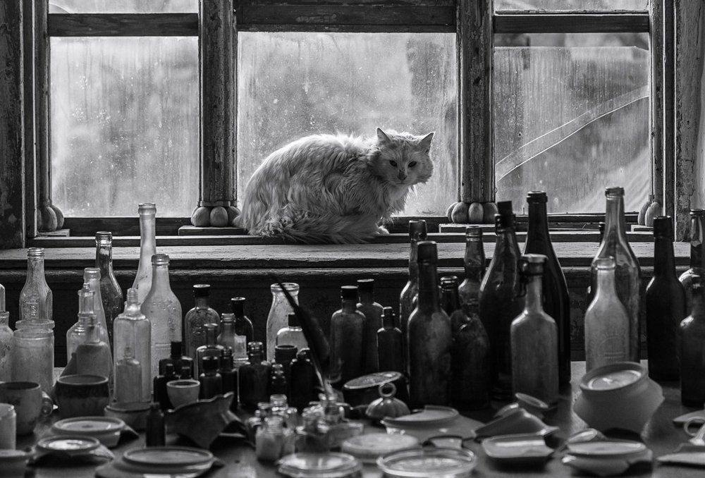 Осколки прошлого