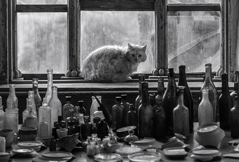 Alexey Shamashov, Russia