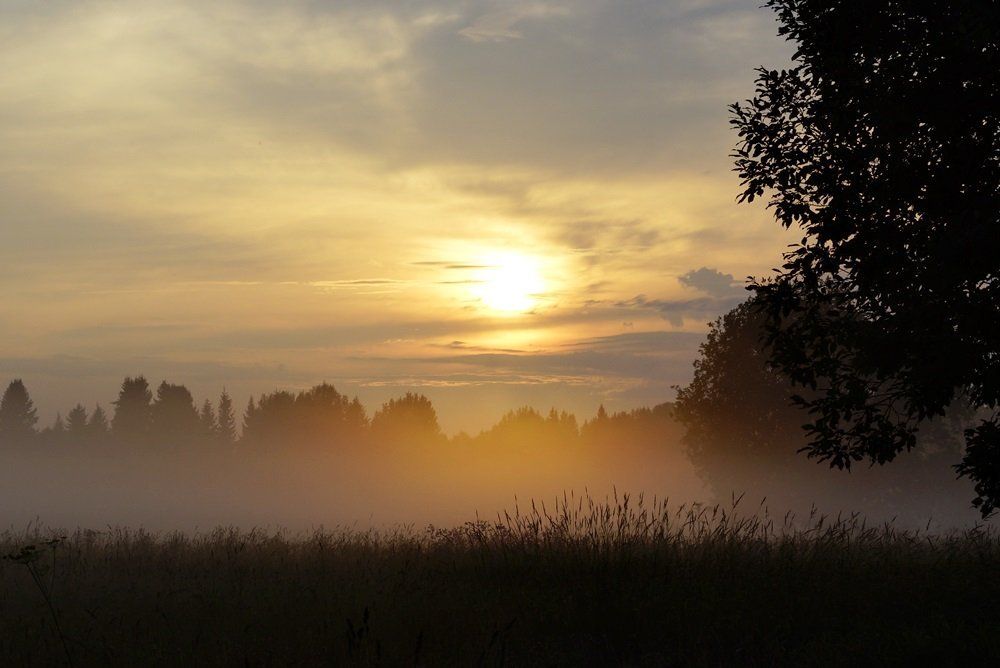 Вечер,солнце и туман
