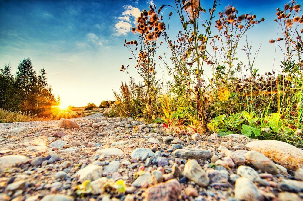 Дороги Карелии