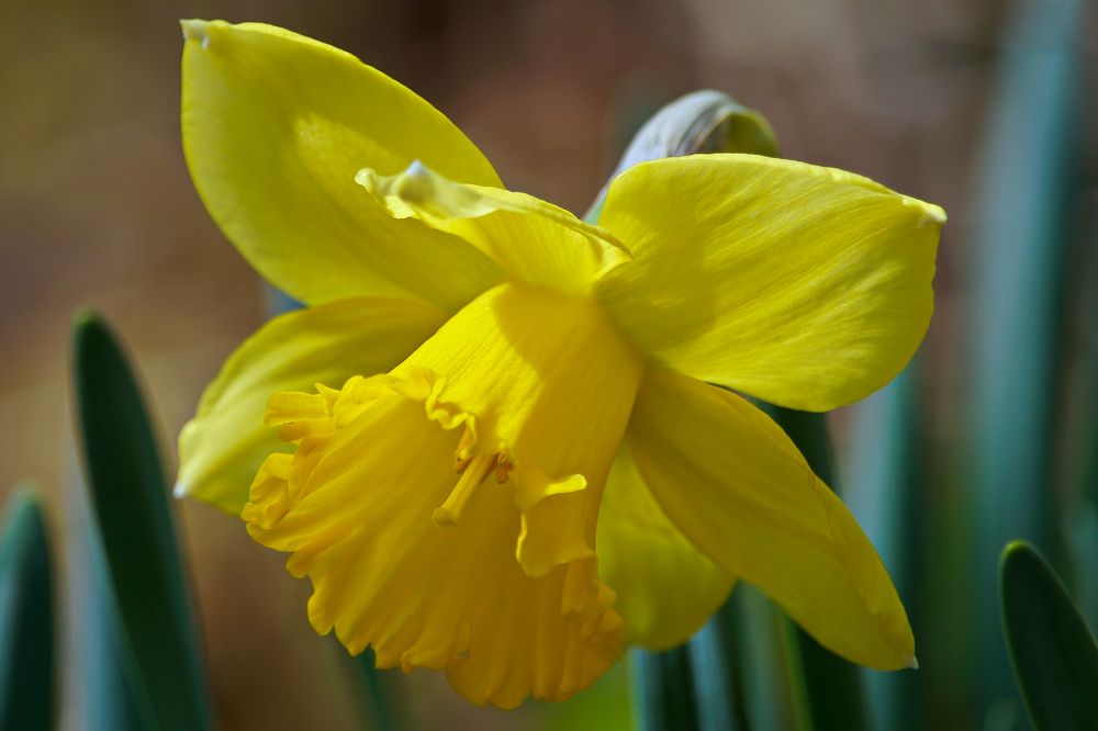 Photograph by Ken Oliver