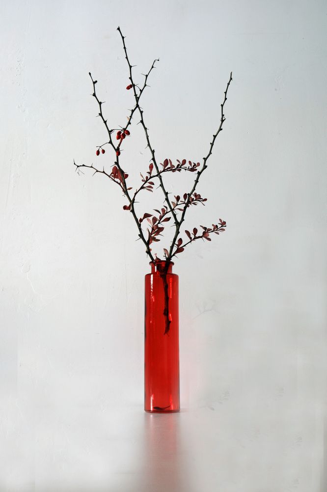 Photograph by Владимир Грибков