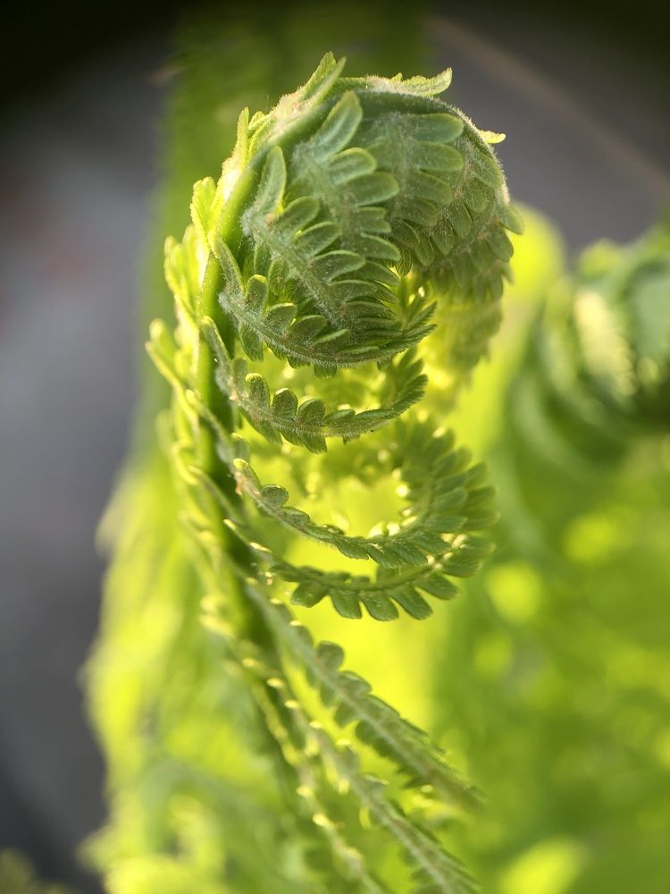 Photograph by Svetlana Tolkunova