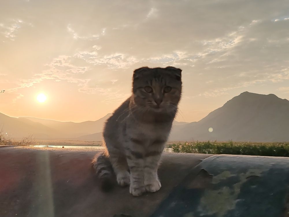 Фотография автора Кравцова Светлана