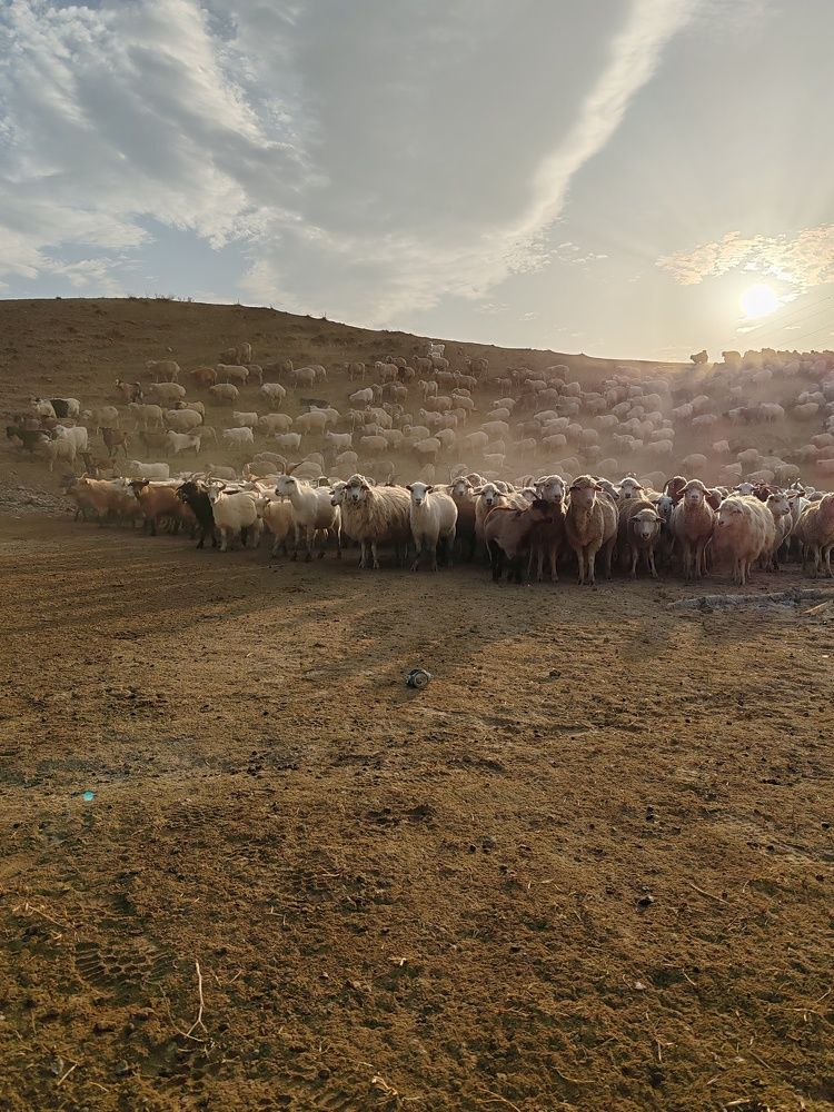 Фотография автора Кравцова Светлана