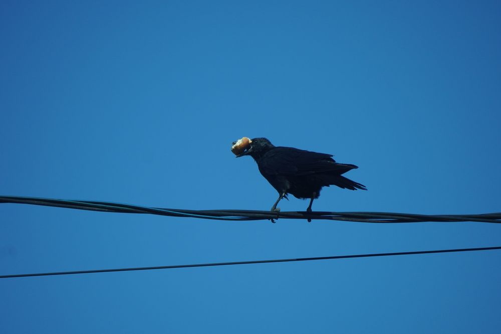 Photograph by Дарья Ринас