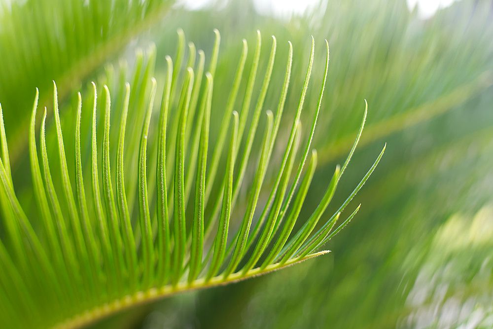 Photograph by Everton Medeiros