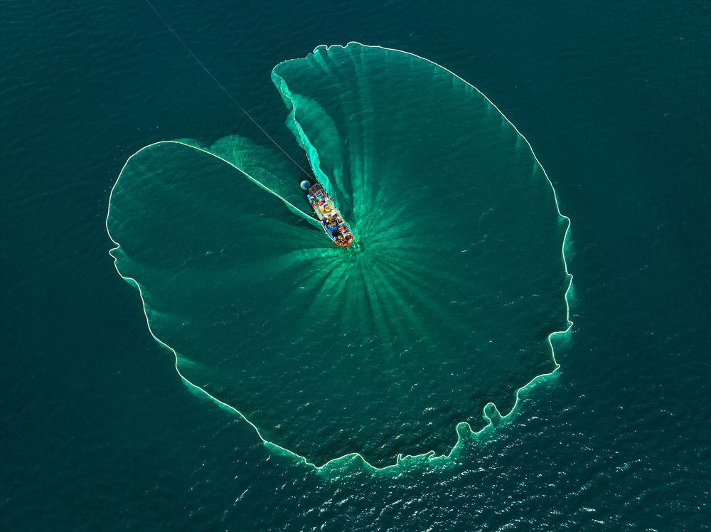 Photograph by Tran Phuong