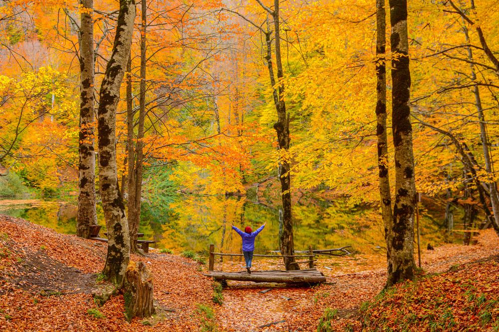 Photograph by İlham Mustafayev