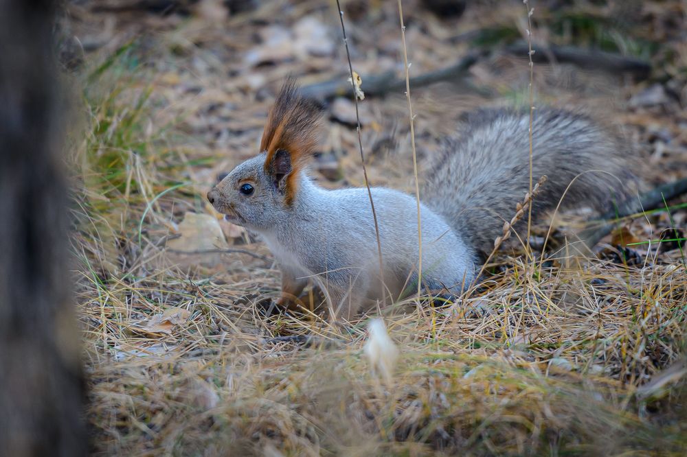 Photograph by Игорь Н. Адамов