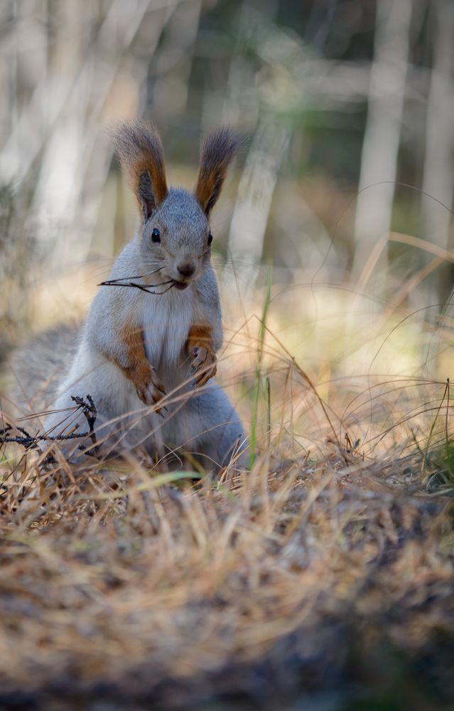 Photograph by Игорь Н. Адамов