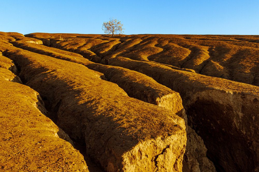 Photograph by Elena Levi