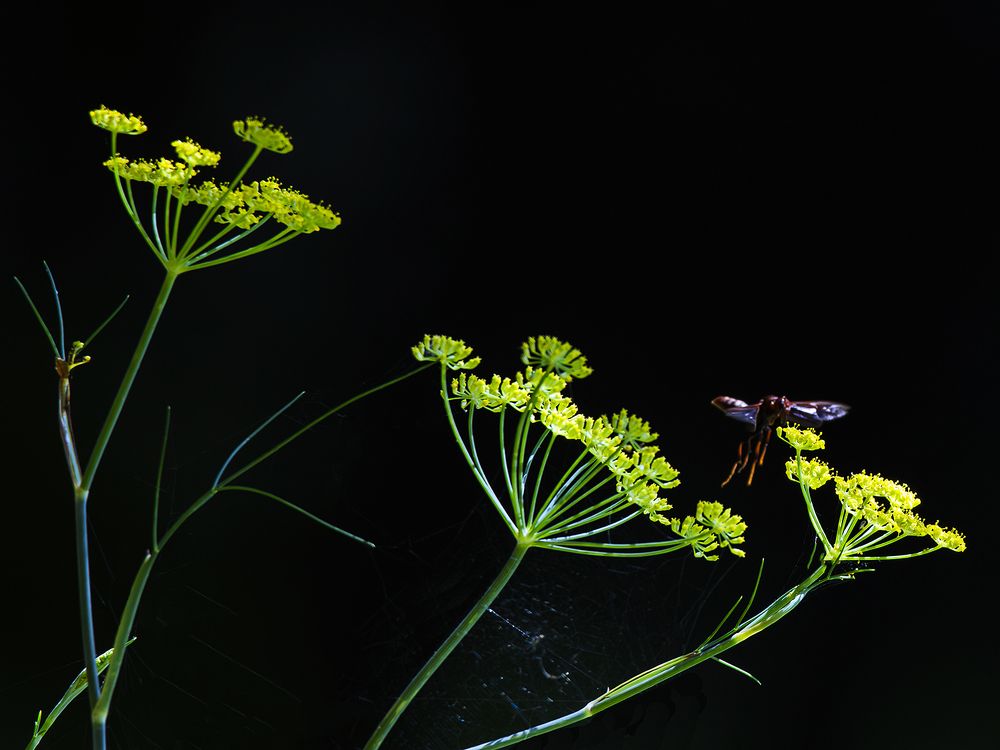 Photograph by Luiz Augusto Magina