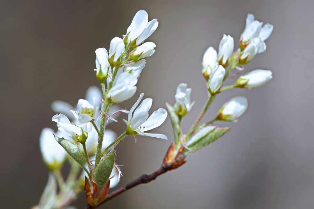 Photograph by Ken Oliver