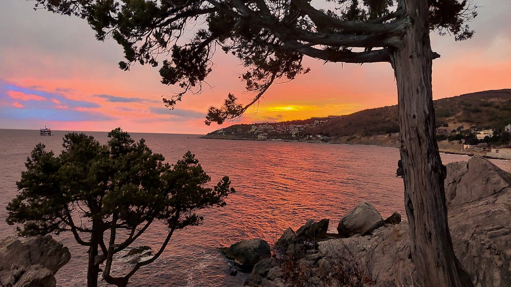 Photograph by Евгений Самулев