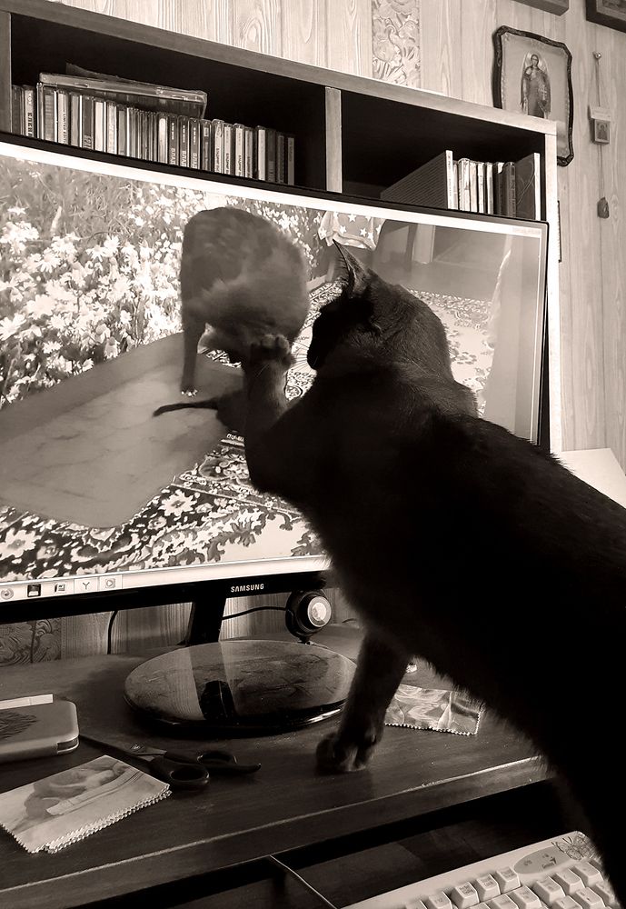 Фотография автора Надежда Лисицына