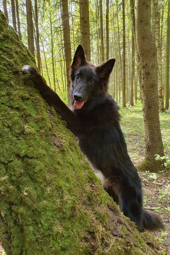 Фотография автора Надежда Лисицына