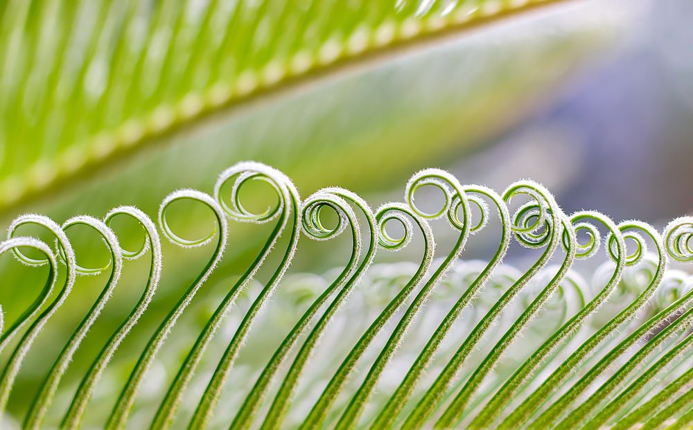 Photograph by Everton Medeiros