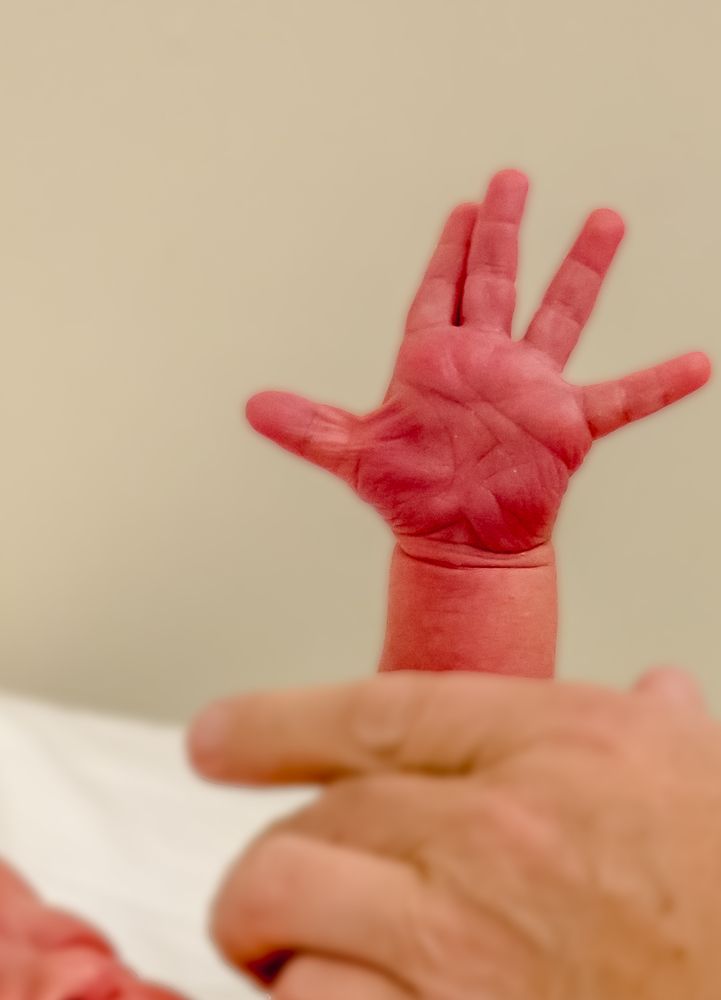 Привет, Мир!