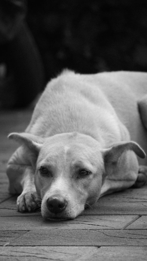 Photograph by Muhammed Junaid A P