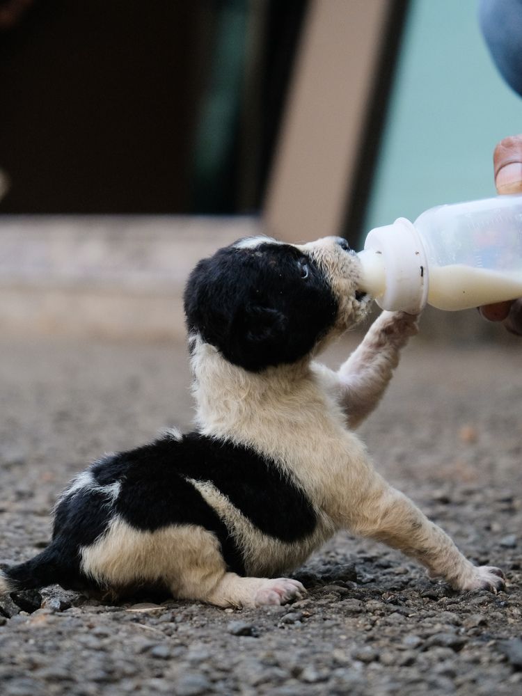 Photograph by Muhammed Junaid A P