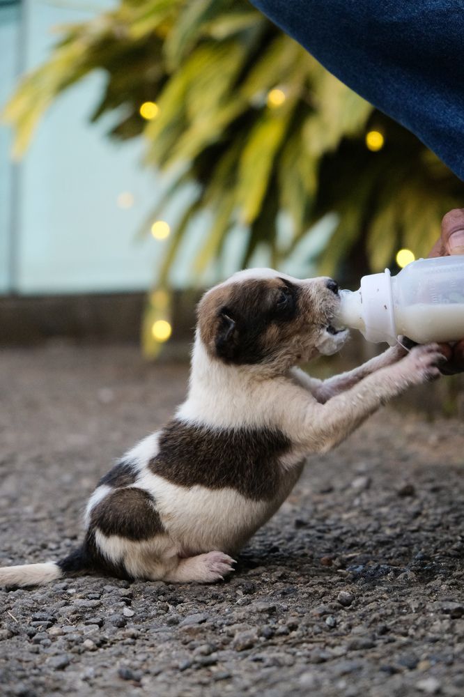 Photograph by Muhammed Junaid A P