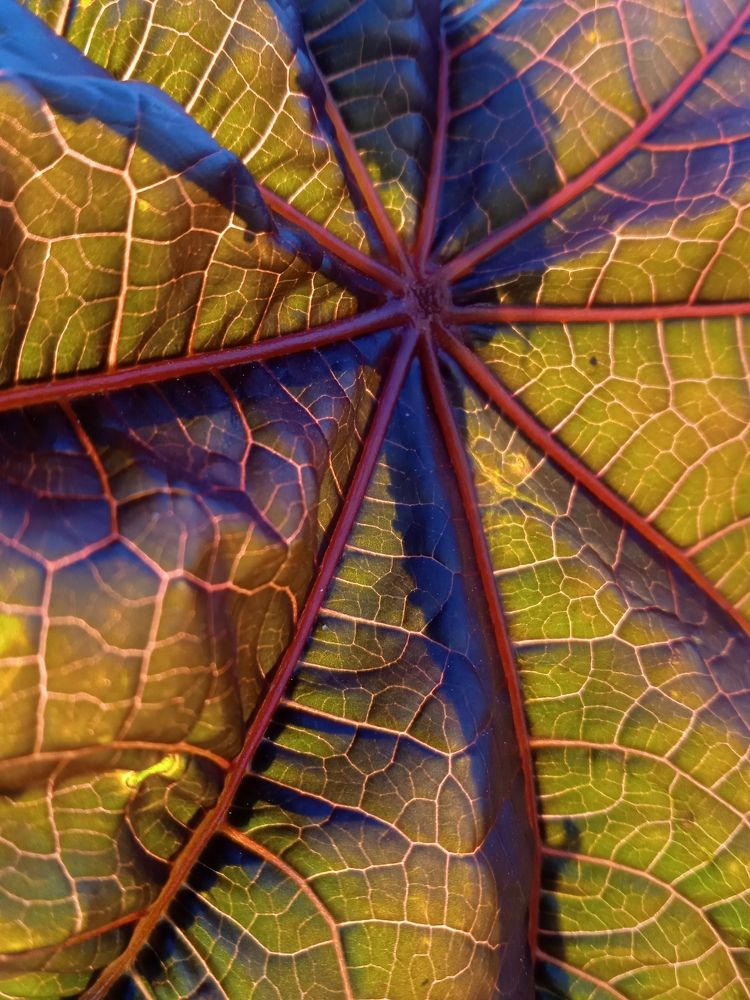 Photograph by Кристина Павлюченко