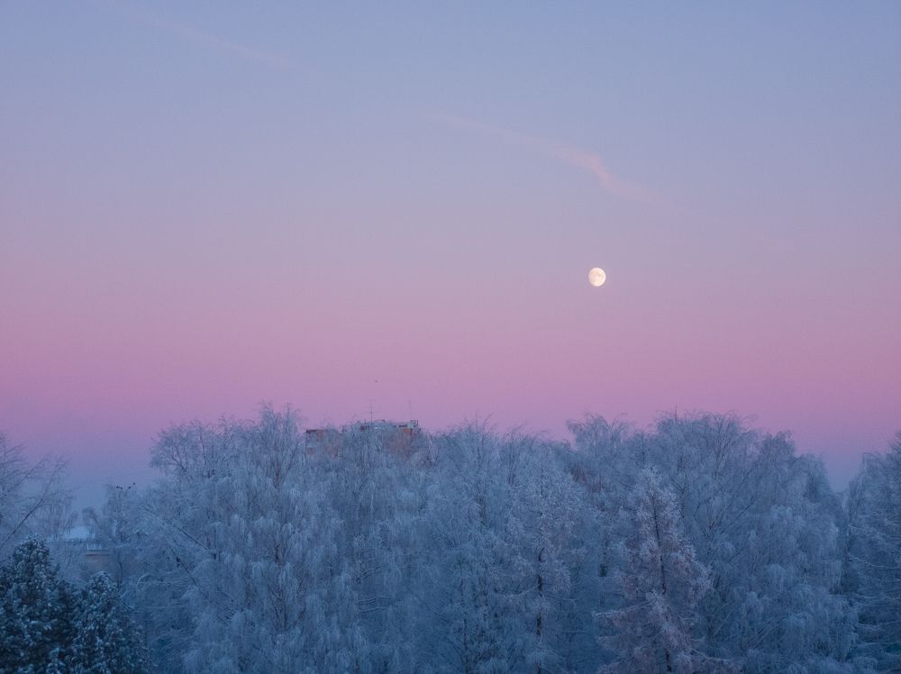 Photograph by Сергей Чудов