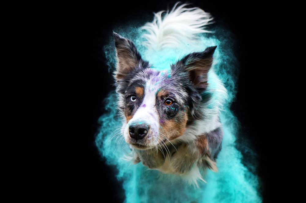 Фотография автора Киреева Екатерина