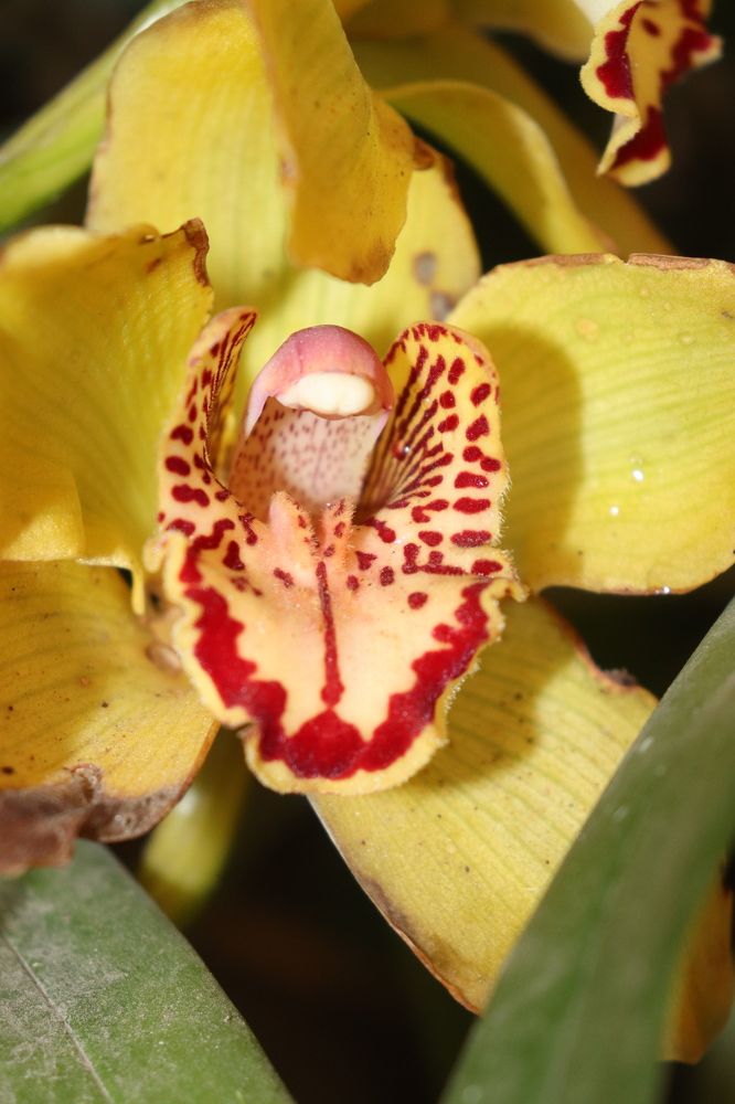 Фотография автора Sonali Mahakal