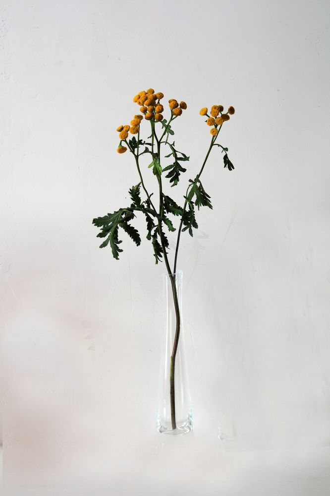 Photograph by Владимир Грибков