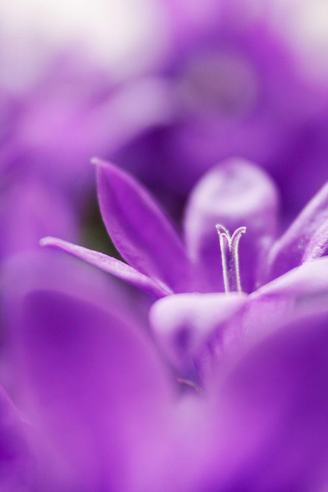 Photograph by Alena Rybakova