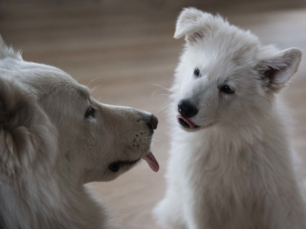 Photograph by Елена Мороз