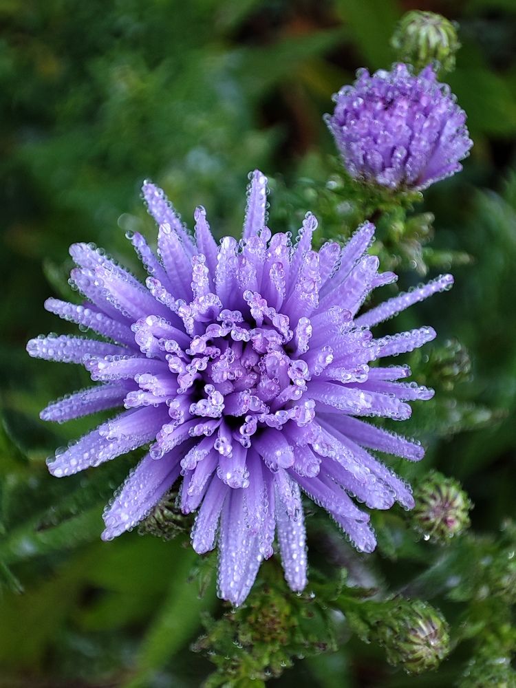 Photograph by Ирина Корешкова