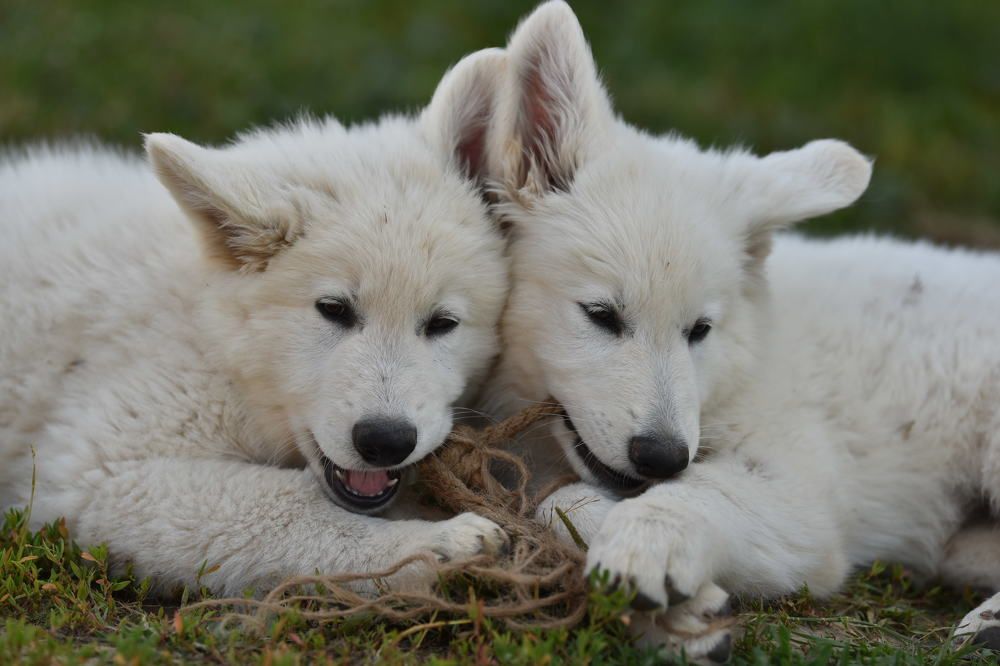 Photograph by Елена Мороз