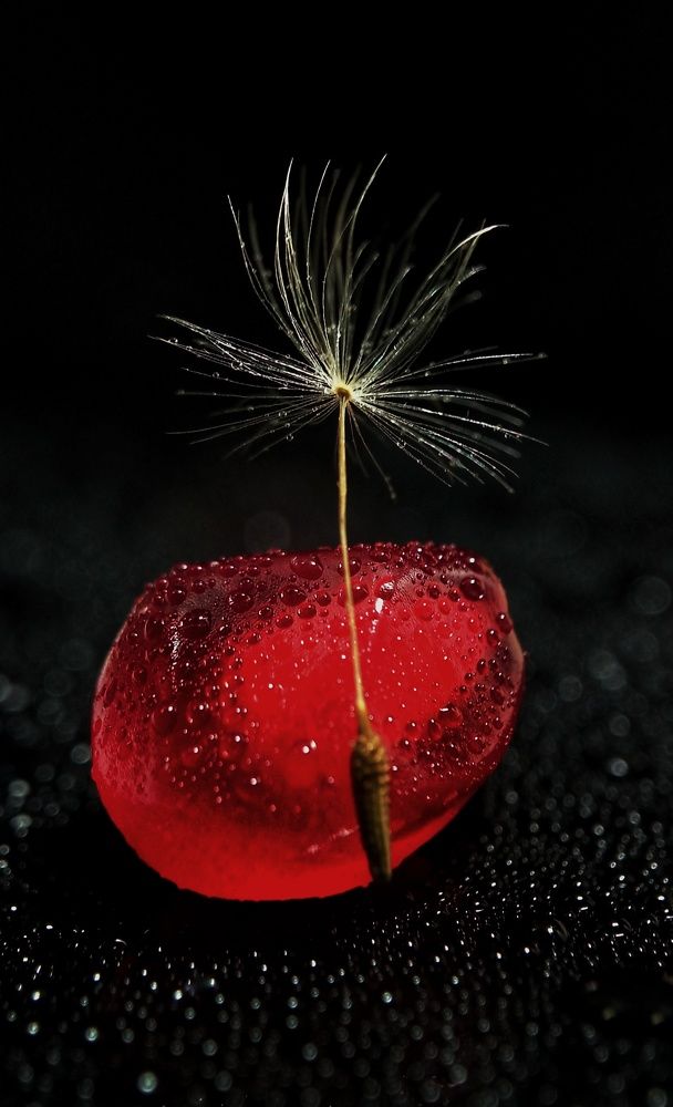 Фотография автора Mahdi Mohammadi