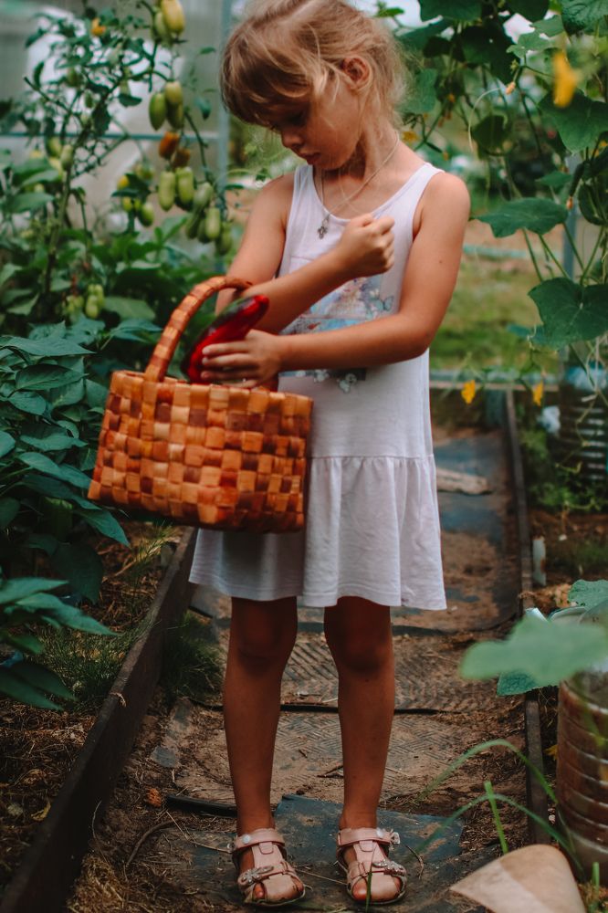 Photograph by Алексей Голубев