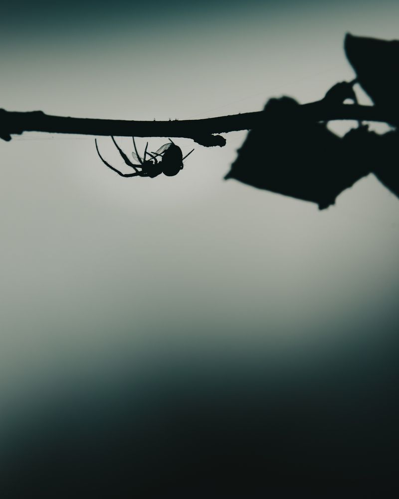 Фотография автора Андрей Иванов