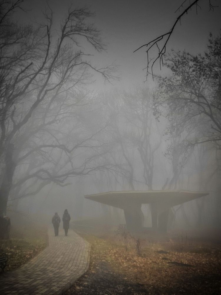 Photograph by Владимир Кривенко