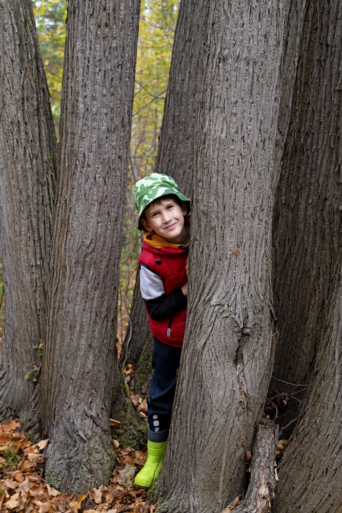 Photograph by Ирина Корешкова