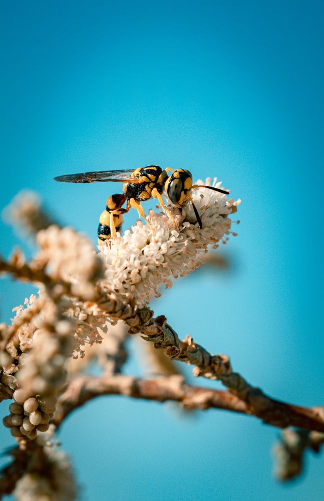 Photograph by Mostafa Bahnasy