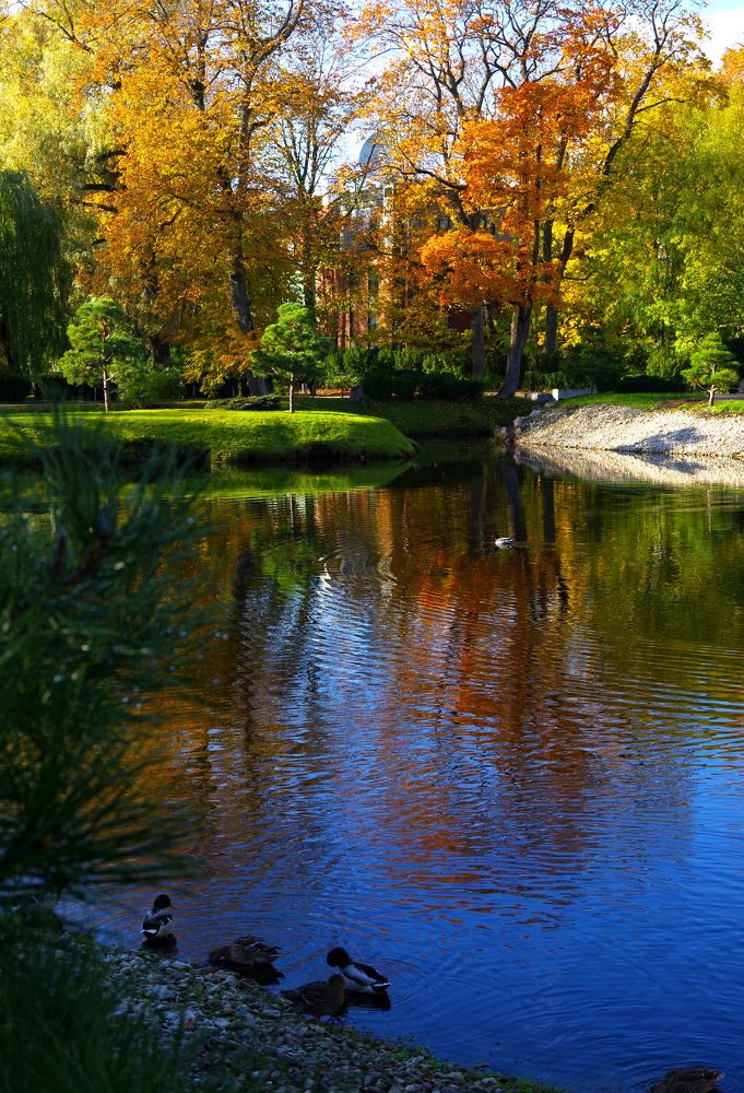 Photograph by Nadezda Sarap