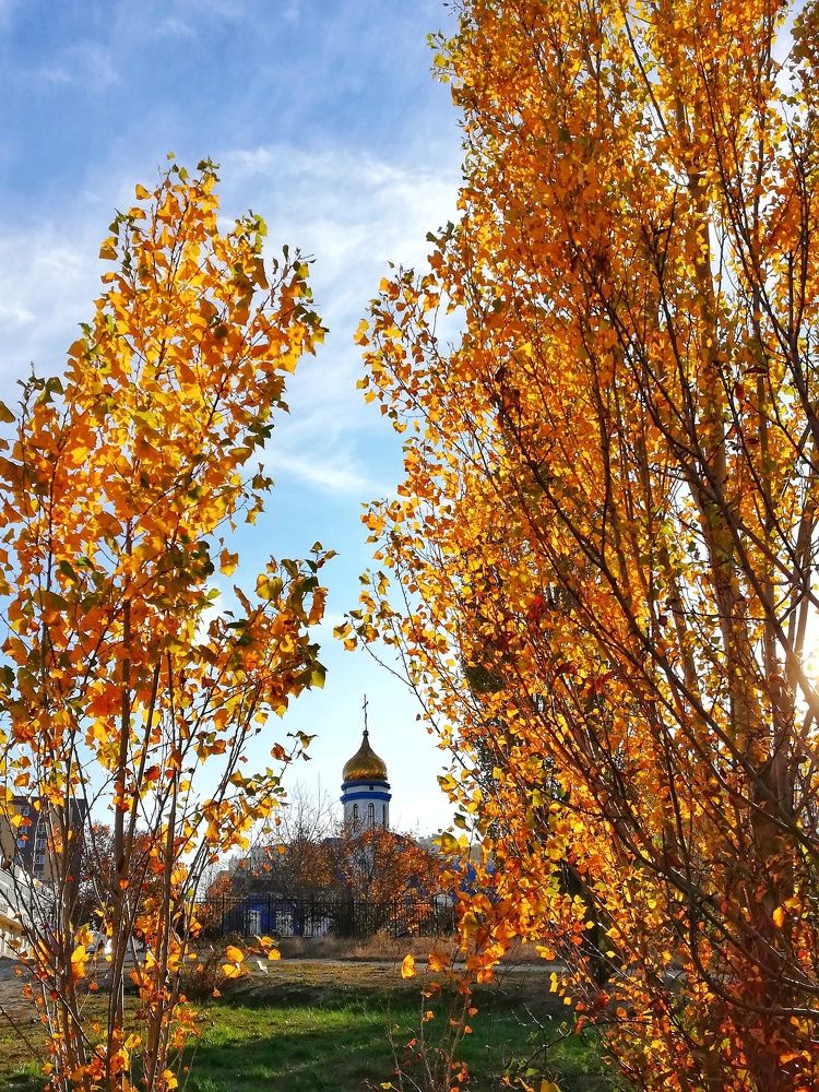 Photograph by Марина Жарикова