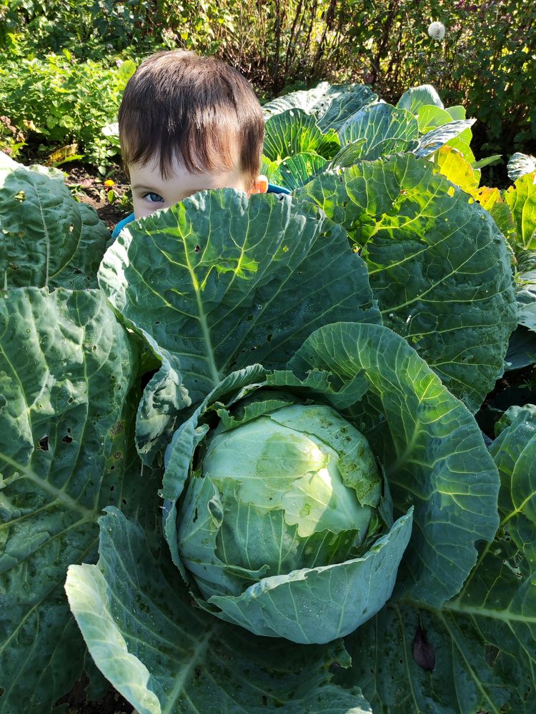 Photograph by Ирина Корешкова