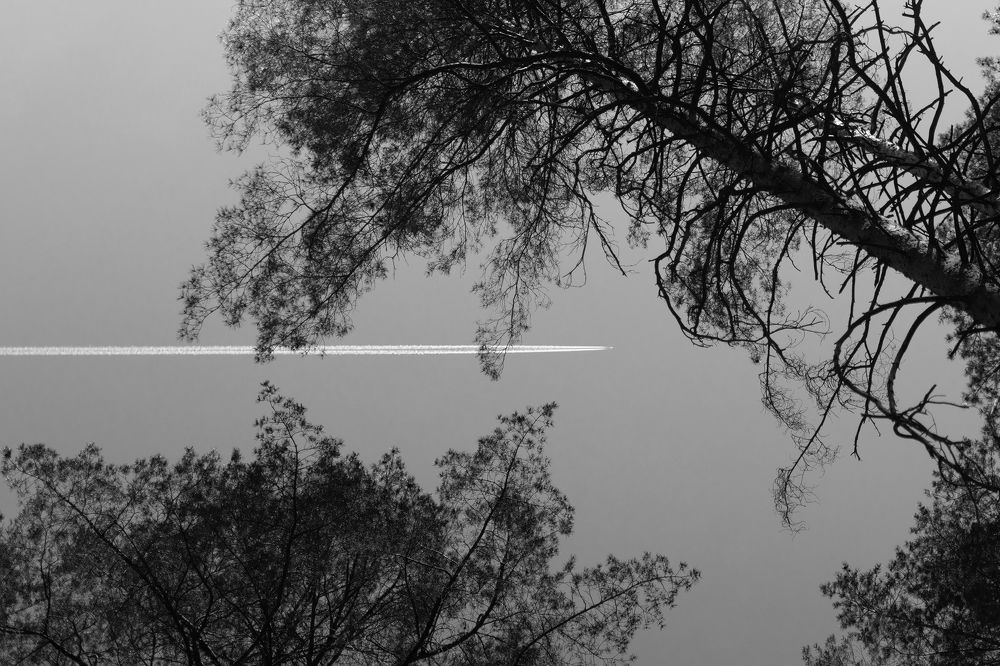 Photograph by Сергей Савельев