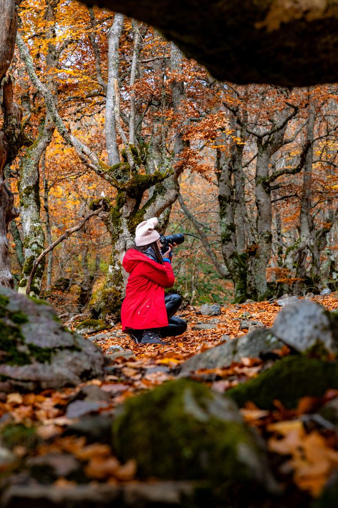 Фотография автора Sandra